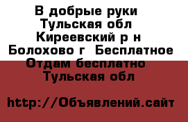 В добрые руки - Тульская обл., Киреевский р-н, Болохово г. Бесплатное » Отдам бесплатно   . Тульская обл.